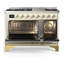 Majestic III Series 48 Inch Dual Fuel Range with 5 Sealed Burners, Griddle, Frenchtop in Matte Graphite (Natural Gas, Burnished Trim)-1387864835-1387864894-1387864832