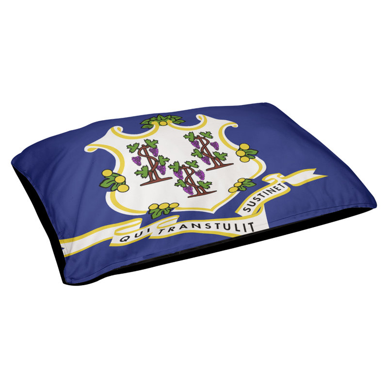 Coussin stylisé connecticut flag Burien, L 19,5 po x l 29,5 po, Noir