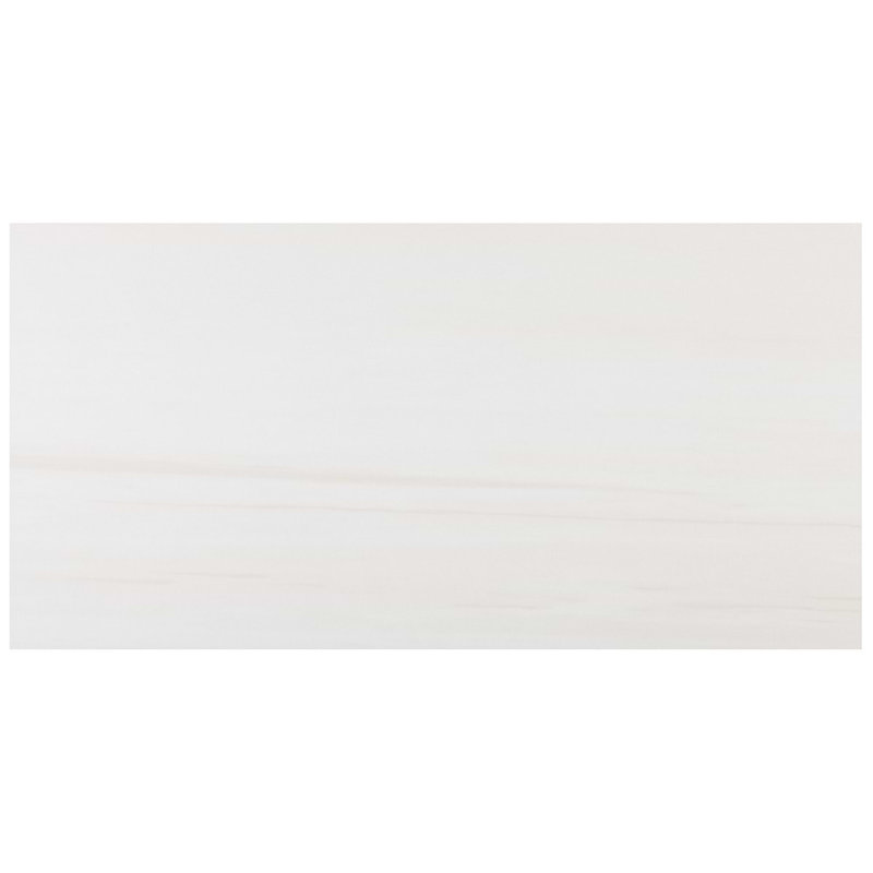Minera 24x48 Polished Marble Look Porcelain Tile