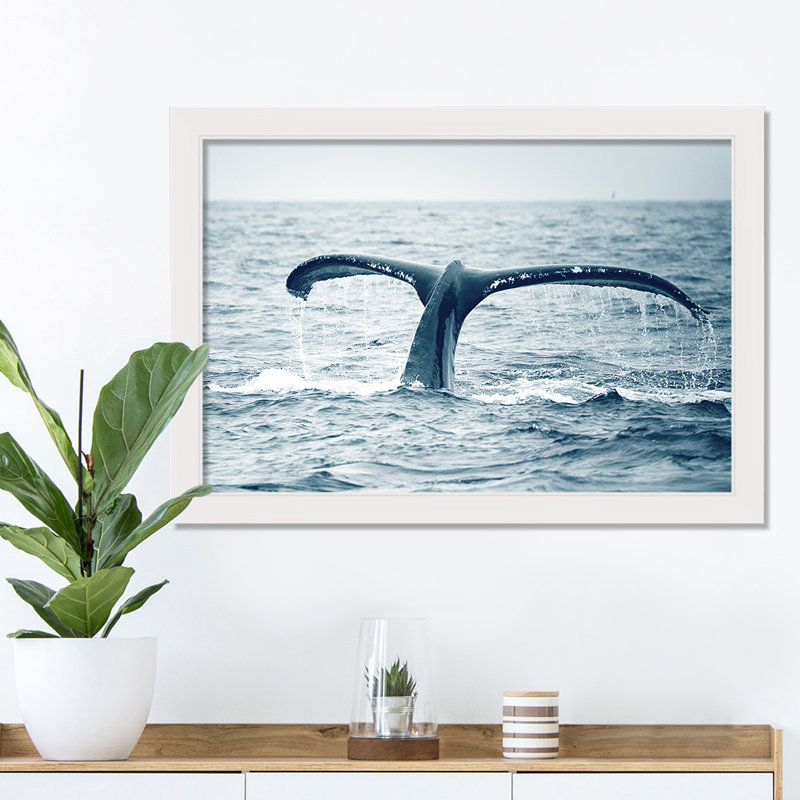 Queue de baleine - cadre photo