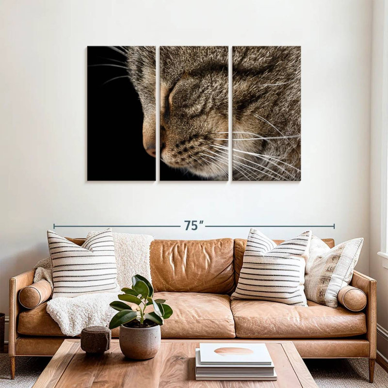 Sleeping Tabby Cat, 36" H x 57" W