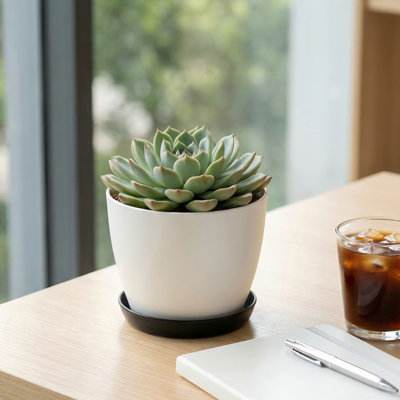 Arrosoirs pots à fleurs avec soucoupe amovible pots à fleurs en plastique pour plantes grasses et petites plantes