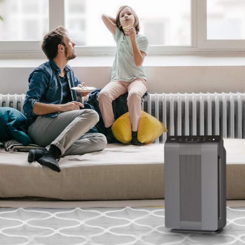 Winix Gray Tower Air Purifier with True HEPA and Carbon Filter