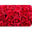 Valentina RealTouch Rose Arrangement