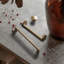Paquet multiple de boutons de champignon de 1,3 po de diamètre-128488048