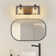 Dimmable Vanity Light with Seeded Glass