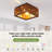 2-Light Farmhouse Flush Mount Ceiling Light
