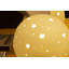 Masayo Novelty Lamp