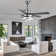 Eustolio 52'' DIY Shade Reversible Caged Ceiling Fan with Dimmable LED Light and Remote