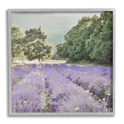 «Lavender Meadow Fields», impression encadrée sur bois