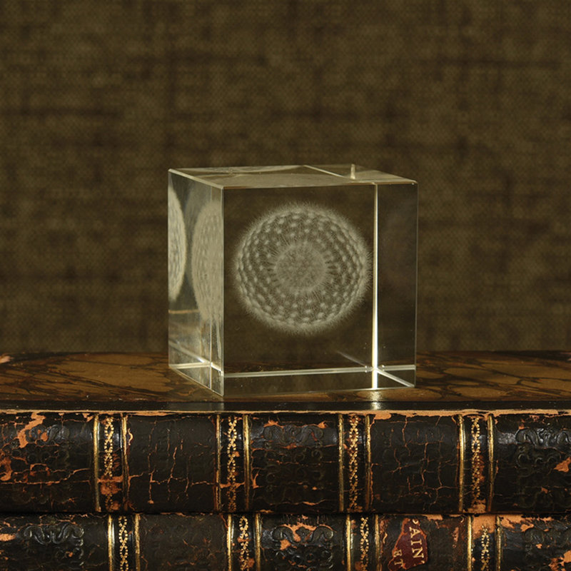Terry Dandelion Glass Hologram 