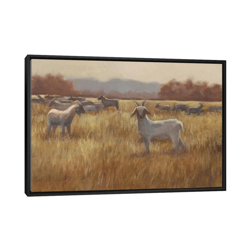 Reproduction d’art, "pâturage chèvres I" par Ethan Harper, H 18 po x l 26 po x P 1,5 po, Toile avec cadre noir, Pas de tapis