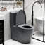 Une toilette avec double chasse d'eau 001. Siège à fermeture en douceur 1,1 / 1,6. Eau, bol allongé. Hauteur, en céramique grise Chasse, hauteur. Pour la catégorisation