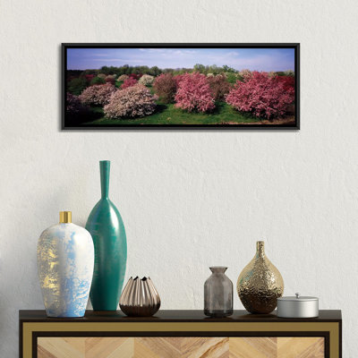 «Crab Apple Trees in an Orchard, Morton Arboretum, Lisle, Illinois, USA», reproduction de photo sur toile