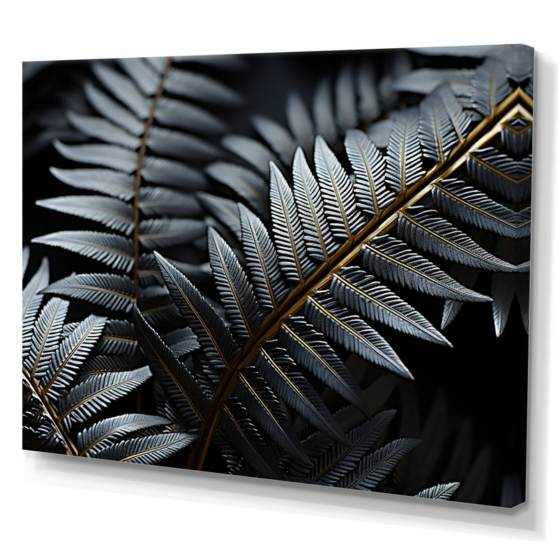 Fougères monochromes - Plantes, impressions d'art mural, Toile tendue, 24" H x 32" W