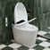 Auto Open/Close Smart Toilet with Foot-Sensing Flush, Automatic & Blackout Flush, Heated Bidet Toilet with Warm Water Wash, Advanced, Quiet-Close Toilet (Remote Included)