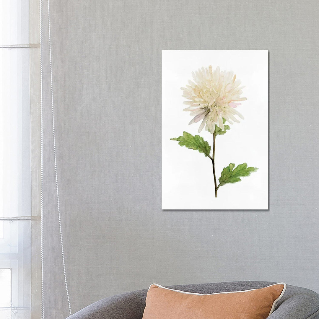 White Blossom IV von Stellar Design Studio - Galerie-verpackte Leinwand Giclée