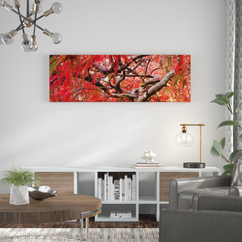 Japanese Maple by Andrew Brown Photographic Print Wrapped on Canvas