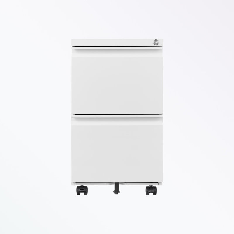 Classeur de rangement de 15,35 po Mathusan, Blanc