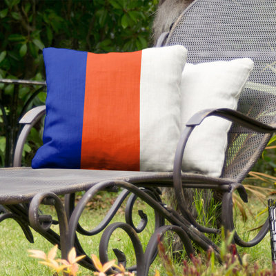 Florida Indoor/Outdoor Throw Pillow