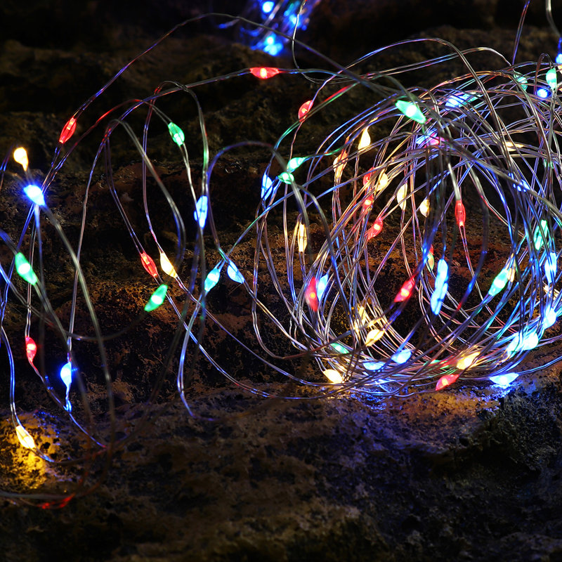 Guirlande de 50 lumières DEL Grantsburg