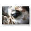 Face of a Giraffe - Wrapped Canvas-55317046