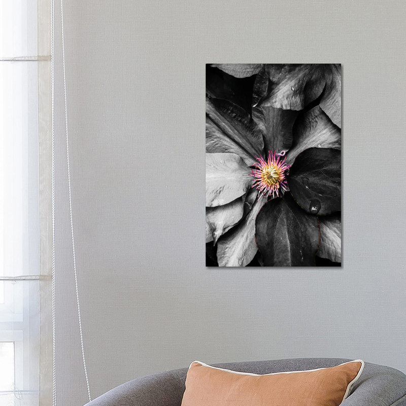 Just A Touch by Heidi Bannon - Wrapped Canvas Print