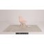 Chaise d'appoint large 19,31 po Osvaldo-1706120042