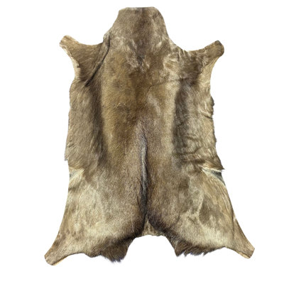 Naturally Black Springbok Skin