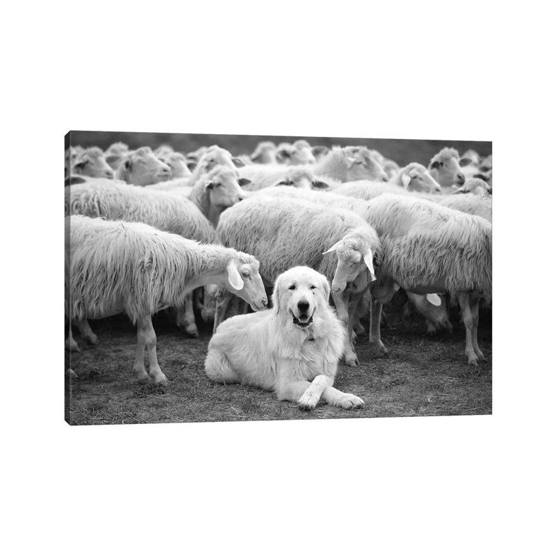 The Boss by Lucian Constantin - Print on Canvas, Wrapped Canvas, 66.04cm H x 101.6cm W x 3.81cm D