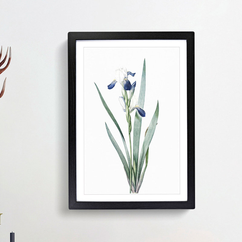 Tall-Bearded Iris Flowers by Pierre-Joseph Redoute - Picture Frame Art Print, 36cm H x 27cm W x 2cm D, Black Framed