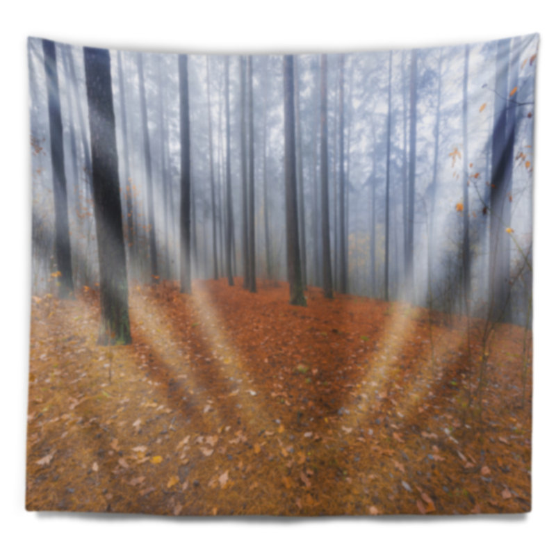 Tapisserie «Foggy Forest» et feuilles tombées, H 32 po x l 39 po