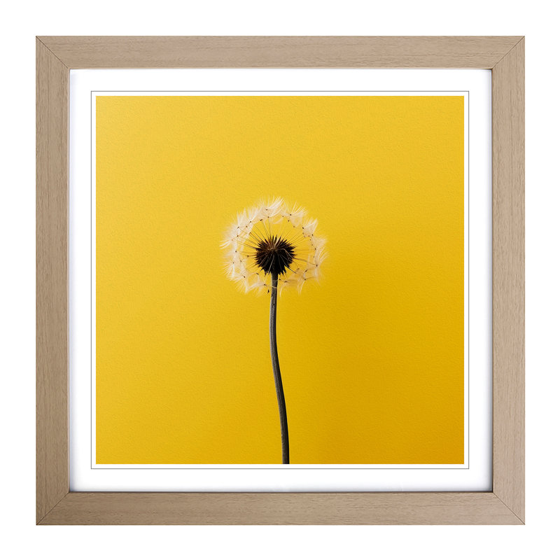Dandelion Minimalism - Framed Print, Oak