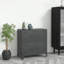 Armoire de rangement en métal avec 4 portes, poignée en métal, 29,5 po x 15,8 po x 31,5 po, noir, acier et plastique-15485540-15485563