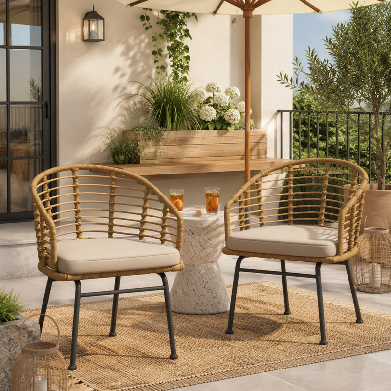 Ensemble de 2 chaises de patio d'extérieur en rotin de polyéthylène avec coussins résistants à l'eau Randy Modern