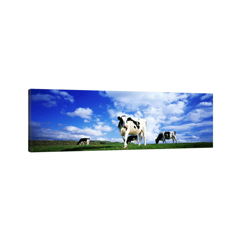 Cows In Field, Lake District, England, United Kingdom - Wrapped Canvas Panoramic Print, 121.92 cm H x 40.64 cm W x 1.91 cm D