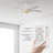 Gatha 56'' Ceiling Fan with LED Lights-581072864-581072867-581072876