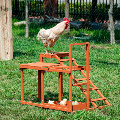 Chicken Actiity Gym and Ladder