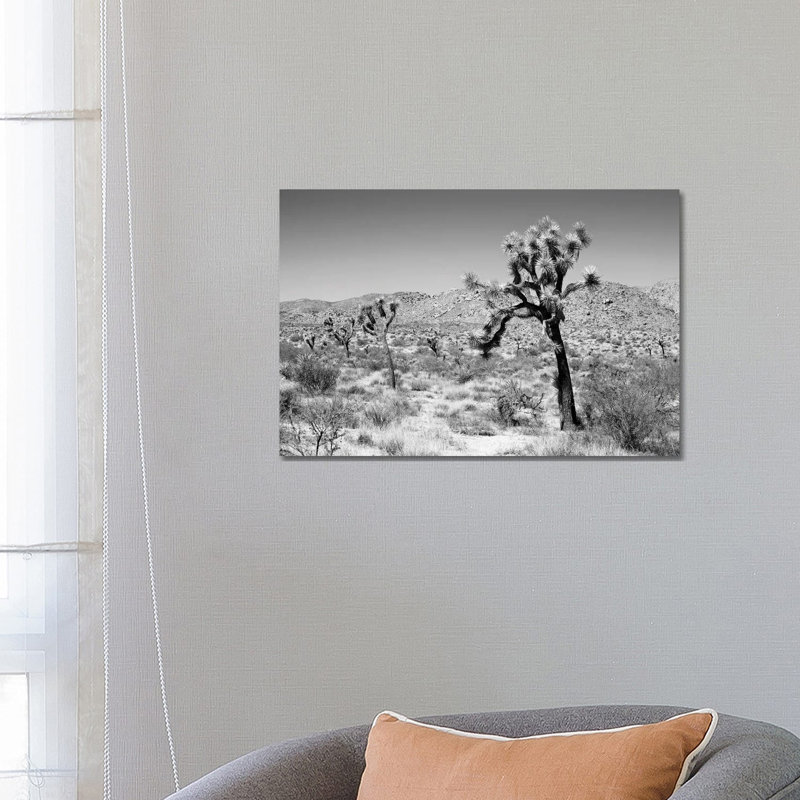 Black California Series - Joshua Trees Desert - Wrapped Canvas Print, 66.04 cm H x 45.72 cm W x 1.91 cm D