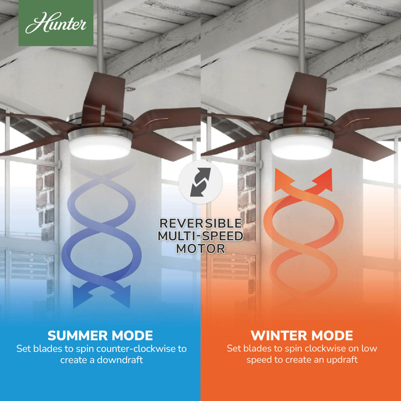 56" Correne 5 - Blade LED Standard Ceiling Fan with Remote Control and Light Kit Included, Coffee Beech