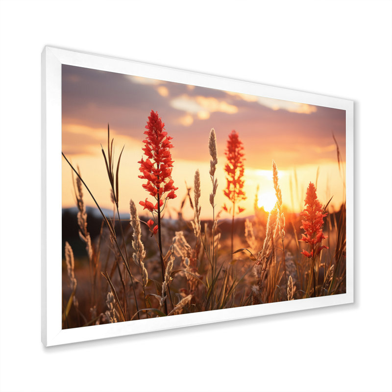 " Wildflowers Field With Sunset ", 16" H x 32" W x 1" D, White Single Picture Framed