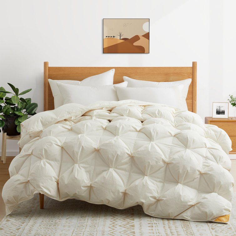 Pikeville 800in³/oz Fill Power All Season Goose Down Comforter