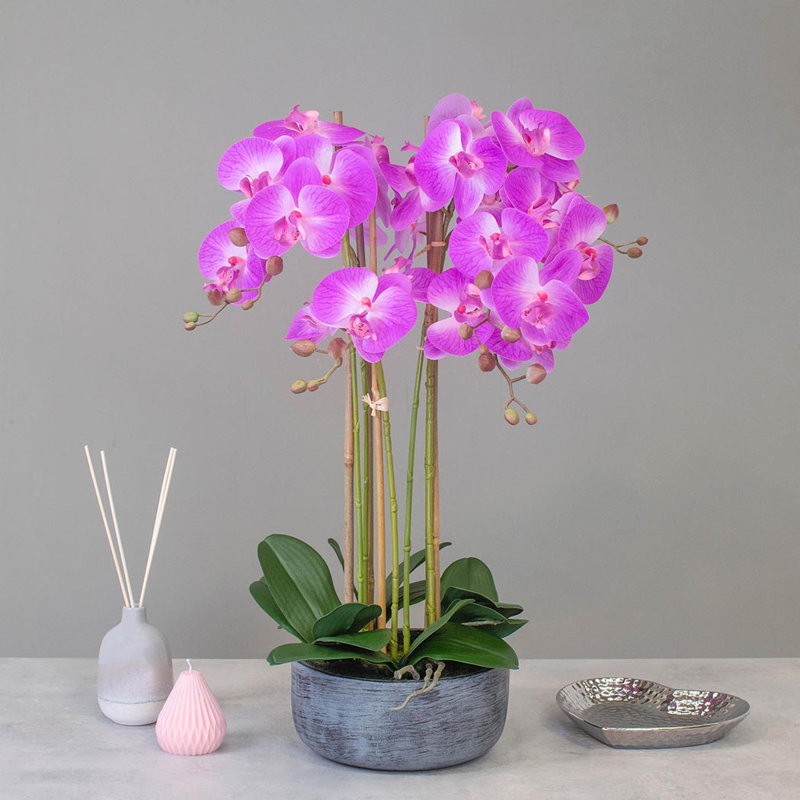 Polysilk Orchid Arrangement in Pot, Pink, 70cm H x 30cm W x 30cm D
