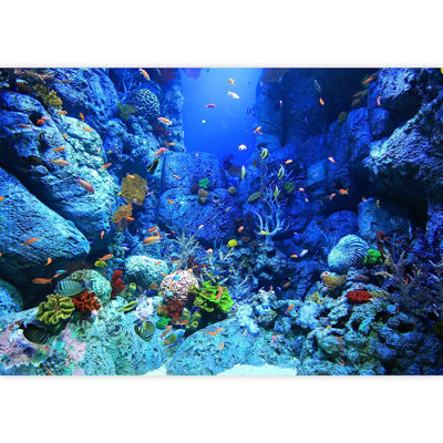 Adhésif mural bleu sous-marin à peindre Sealifes