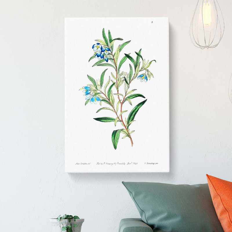 Bluebell Flowers - Wrapped Canvas Painting, 60cm H x 40cm W x 3cm D