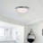 Lunar 2-Light Indoor Brushed Nickel Fluorescent Flush Mount Ceiling Fixture with Alabaster Glass Bowl-1232937517