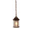 Lanterne suspendue d'extérieur 1 lumière H 12 po Pruitt-26243281-26243286-26243288