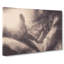 Butterfly Wing in Abstract - Wrapped Canvas-55316311