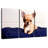 Teacup Chihuahua-936353345