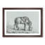 A Drinking Horse by Jean Bernard - Single Picture Frame Print-55457490-55457491